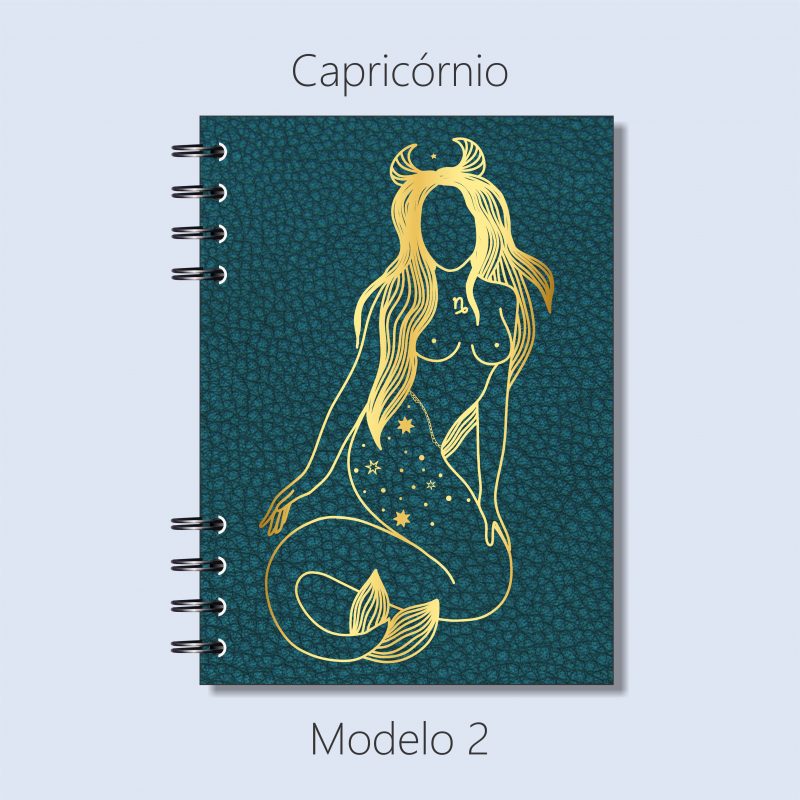 Capricórnio – Modelo 2
