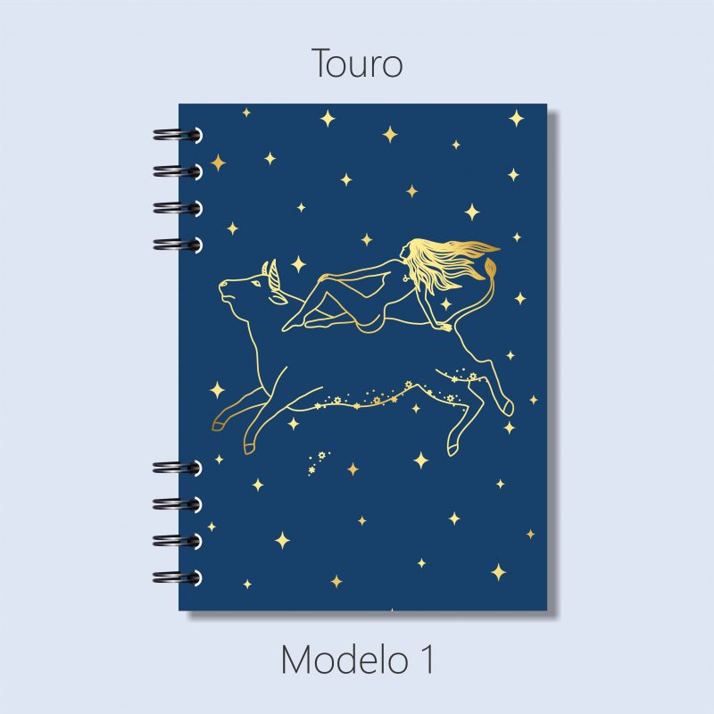 Touro – Modelo 1