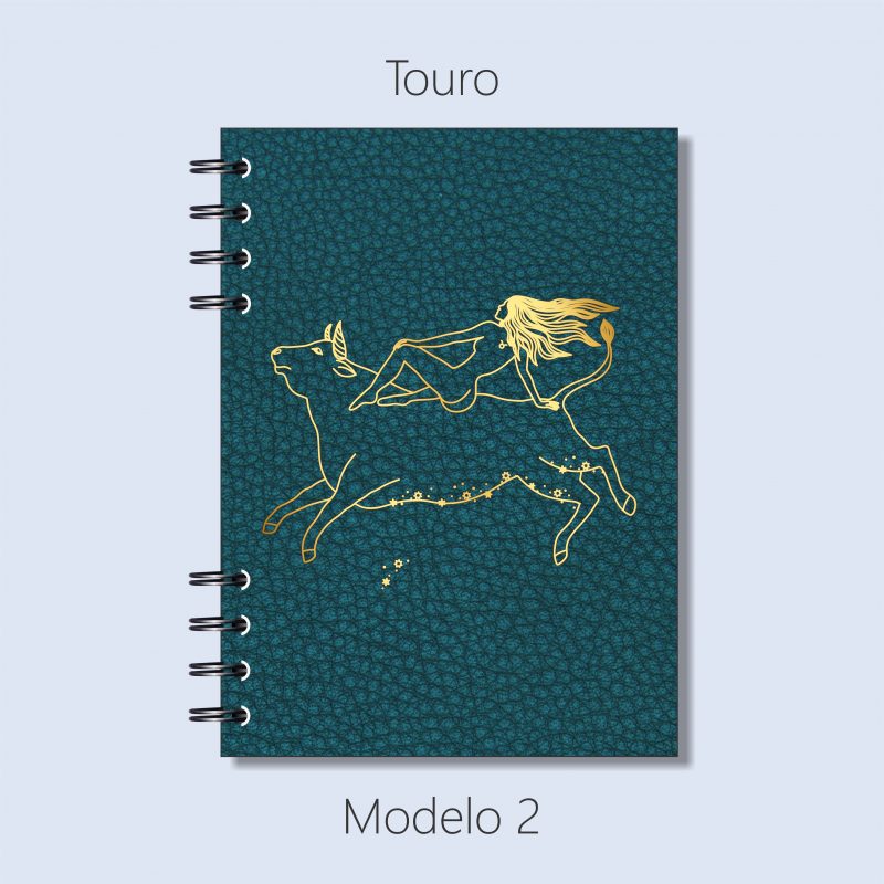 Touro – Modelo 2
