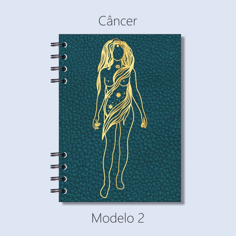 Câncer – Modelo 2